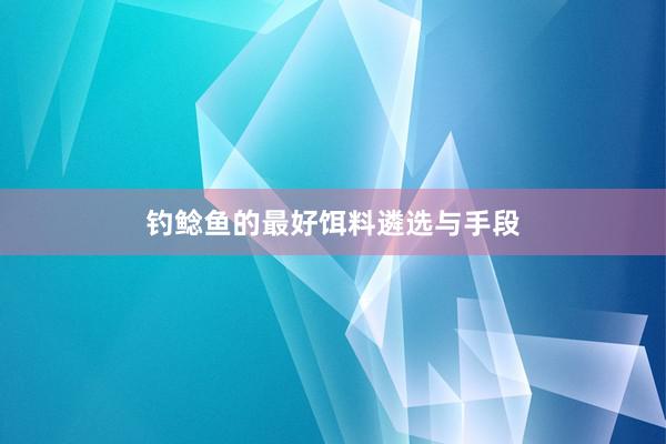 钓鲶鱼的最好饵料遴选与手段