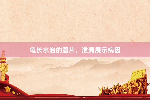 龟长水泡的图片，泄漏展示病因